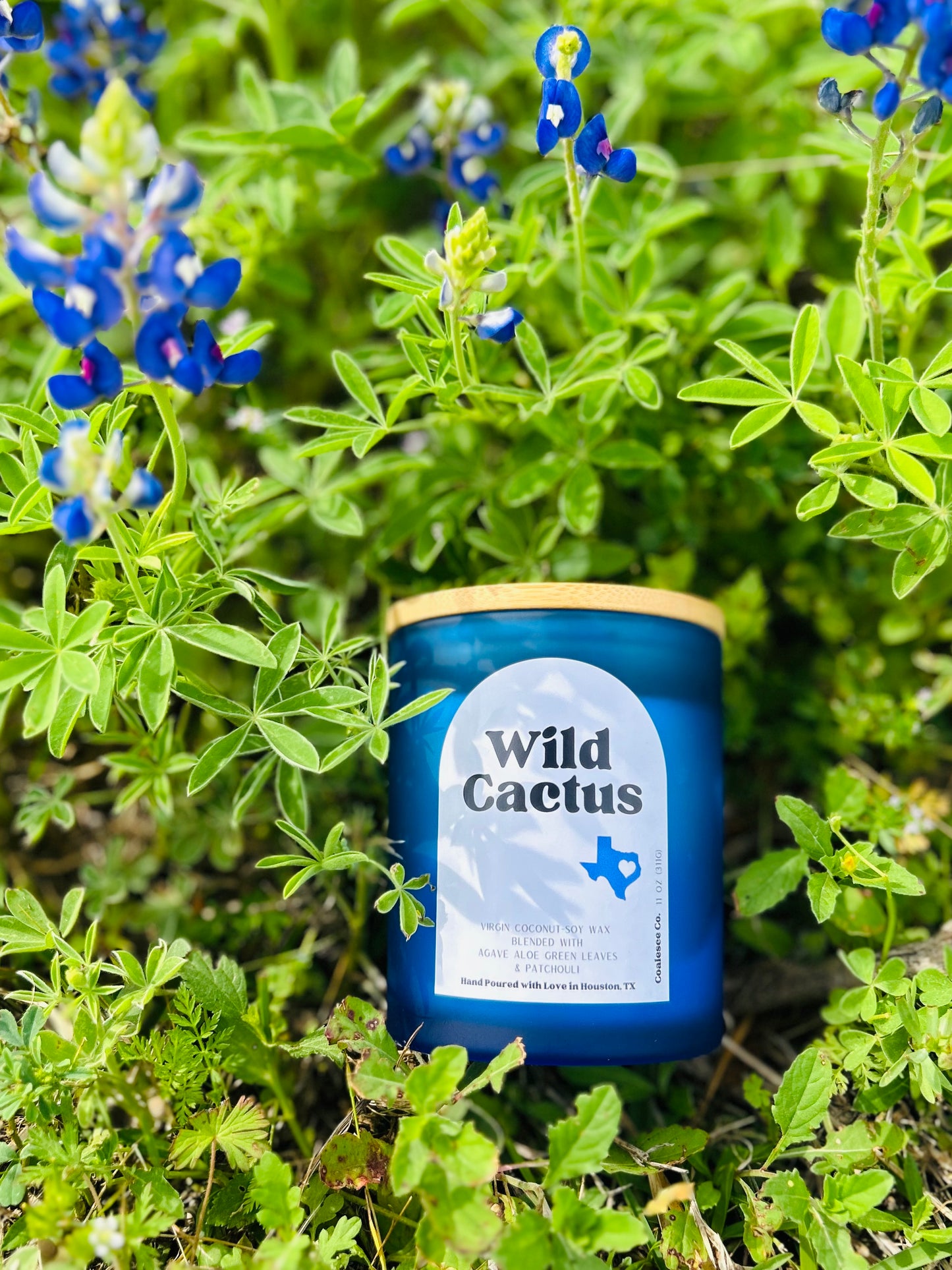 Wild Cactus Candle - 11 oz